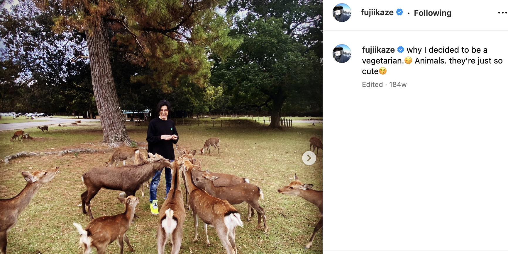Fujii Kaze